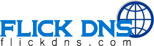 flickdns.com Logo